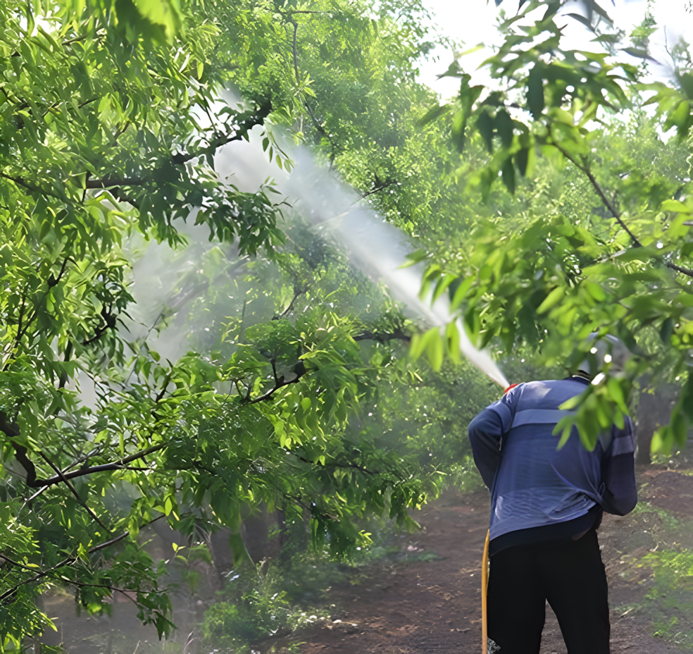 临沂市蓝欧植保机械有限公司